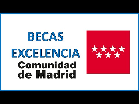 beca excelencia académica