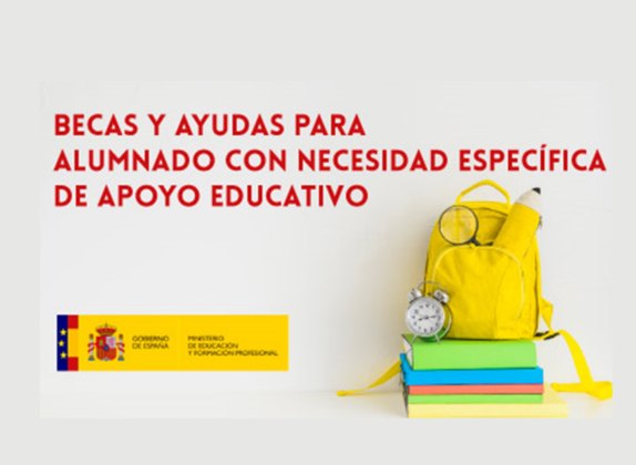 beca de necesidades educativas especiales